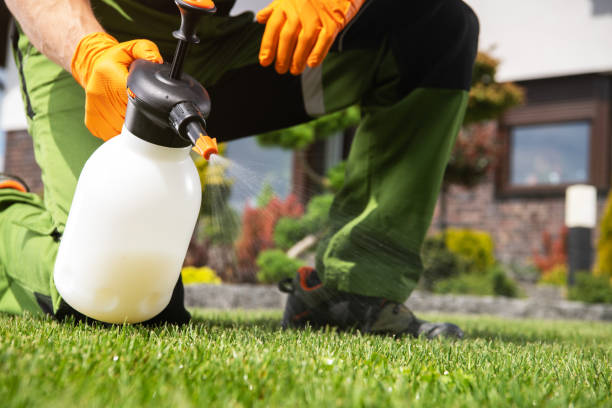 Best Pest Prevention Services  in Rmichael, CA