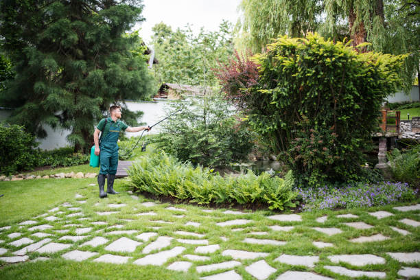 Best Pest Control Near Me  in Rmichael, CA
