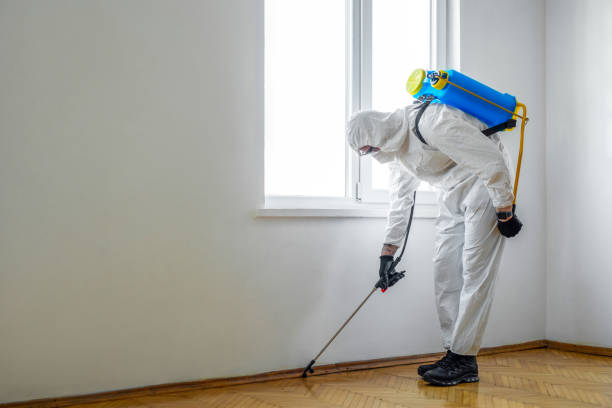 Best Wildlife Control Services  in Rmichael, CA