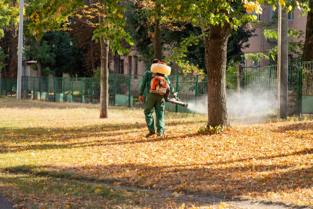 Best Local Pest Control Services  in Rmichael, CA
