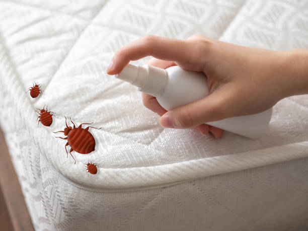 Best Exterminator Services  in Rmichael, CA
