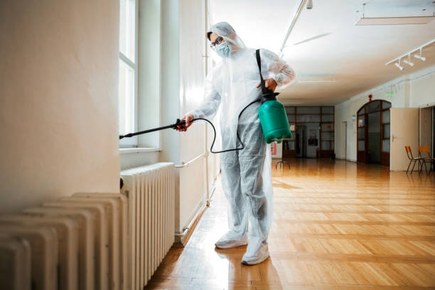Best Termite Control Services  in Rmichael, CA